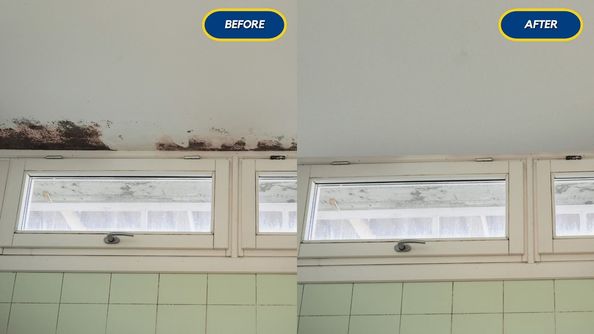 before and after mould cleaning results