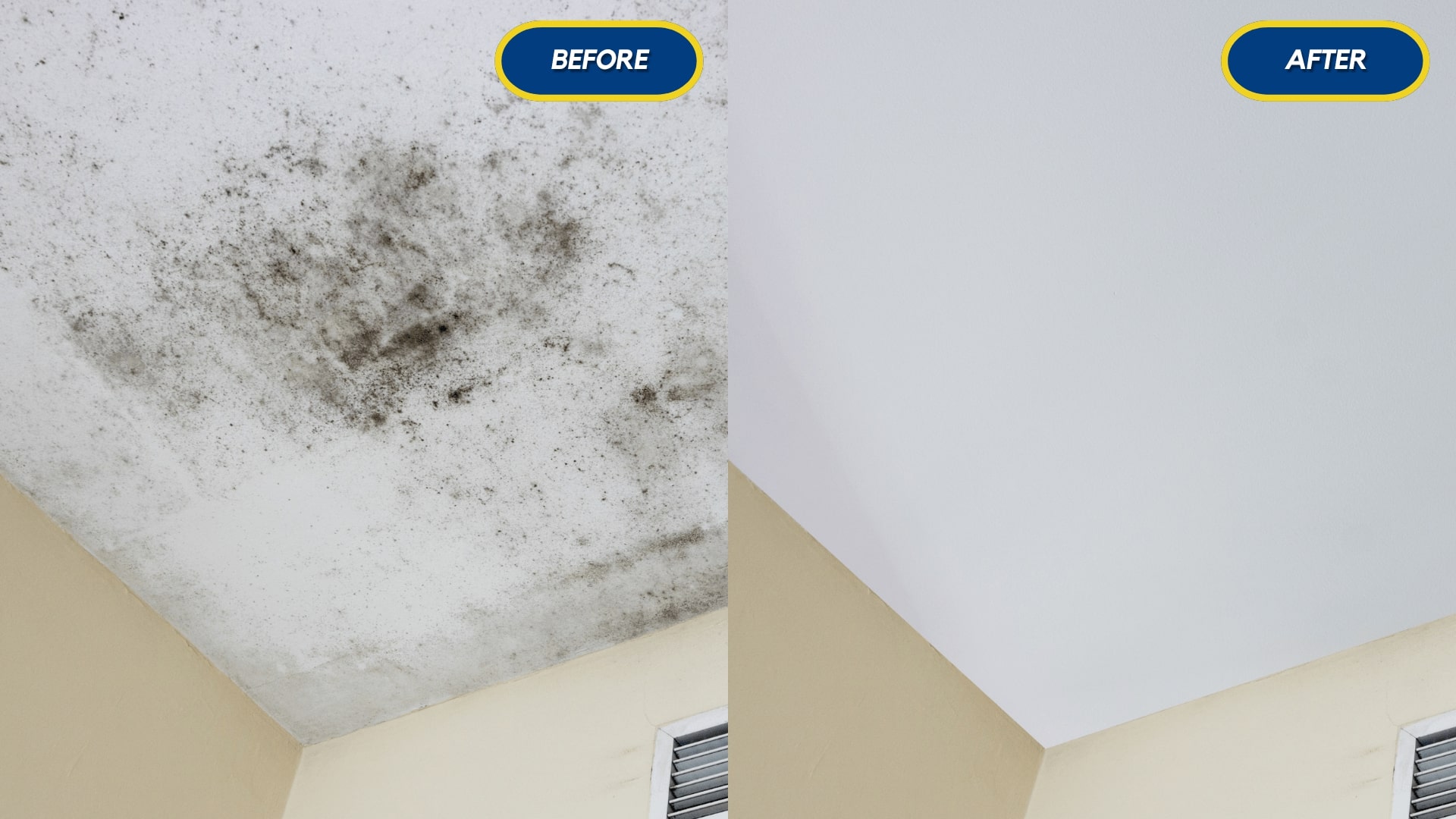 before and after mould removal result