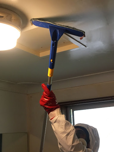 Mould Removal Ceiling