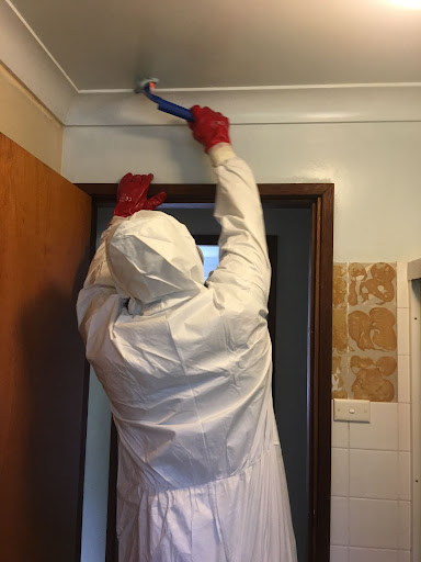 Professional Mould Cleaning Ceiling