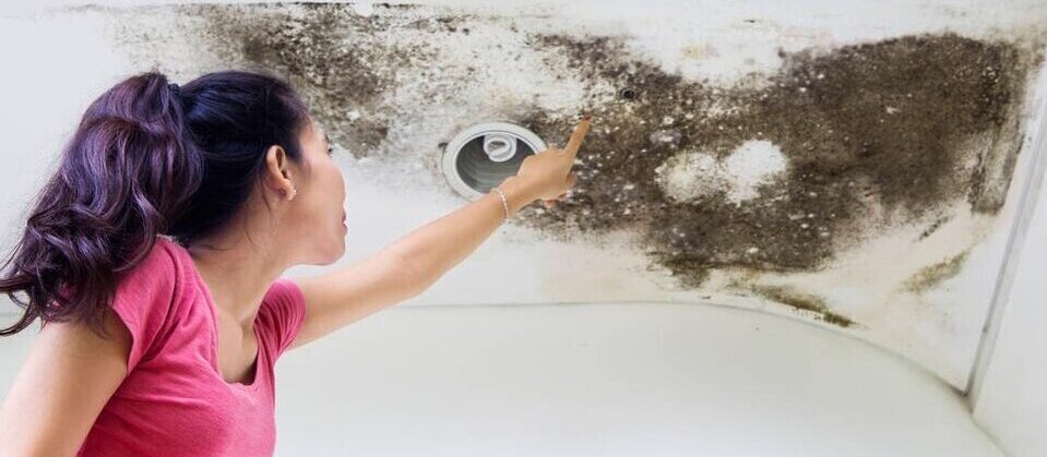 Get Rid of Mould in Your Home