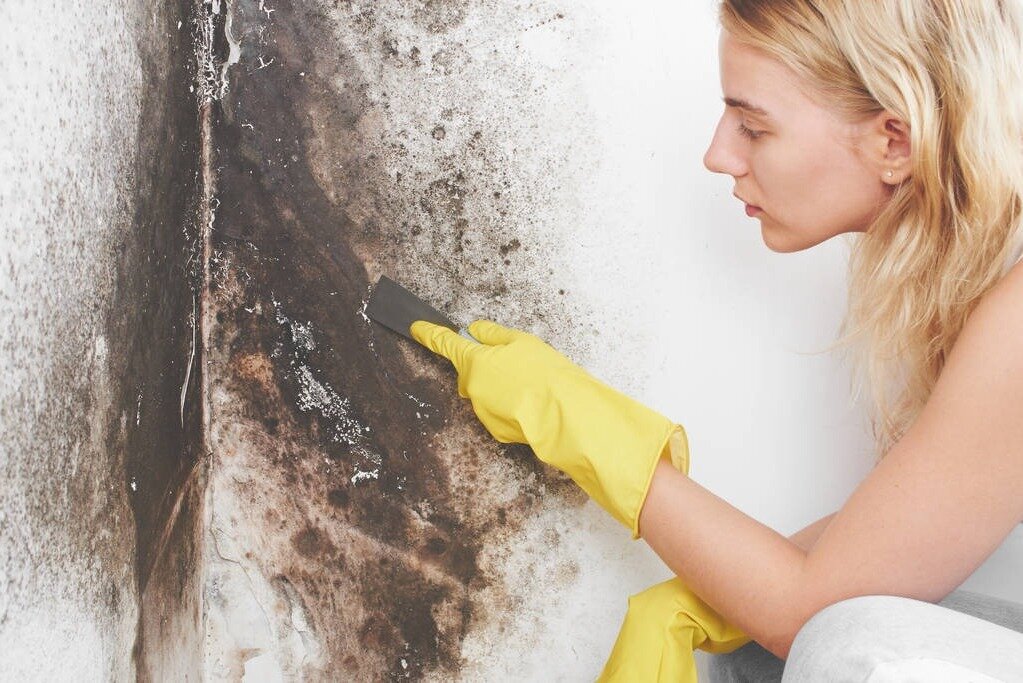 Expert Tips for Cleaning Mould off Walls