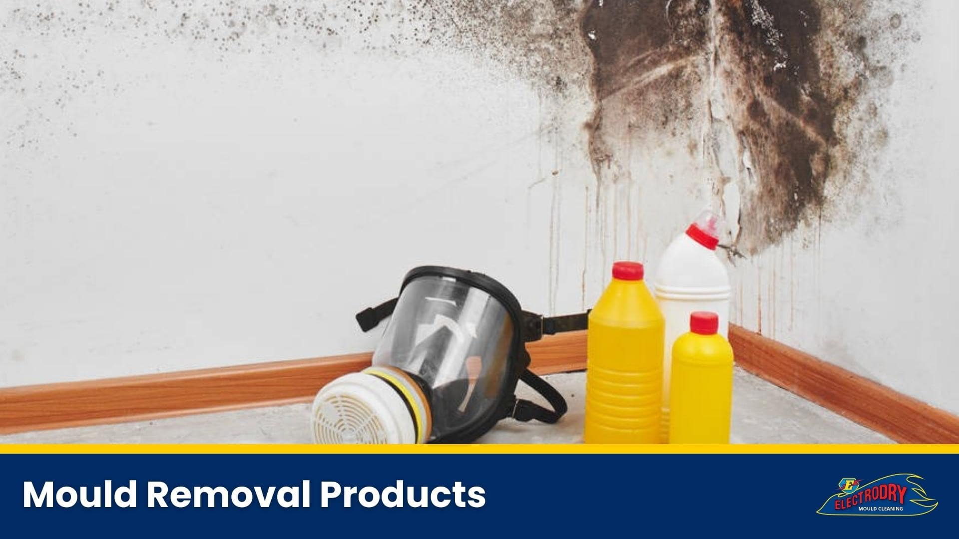 Mould Removal Products