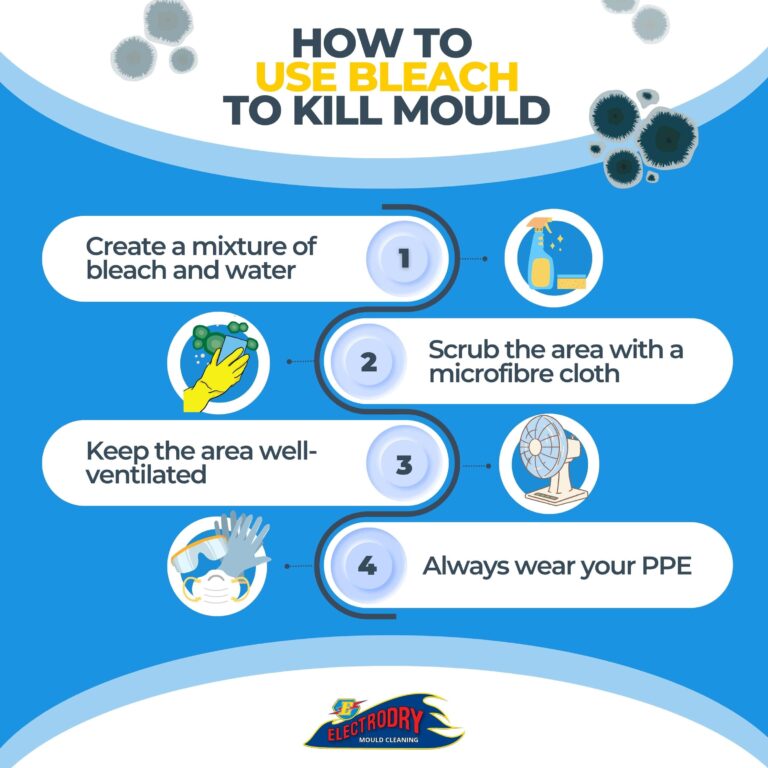 How To Use Bleach To Kill Mould?