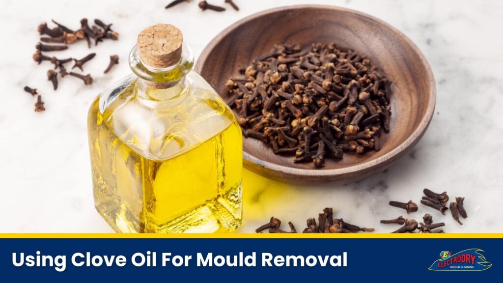 Using Clove Oil For Mould Removal